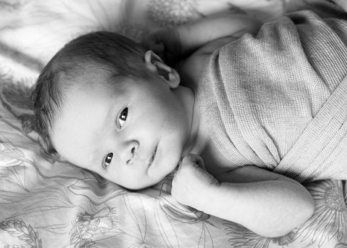 Newborn Photography